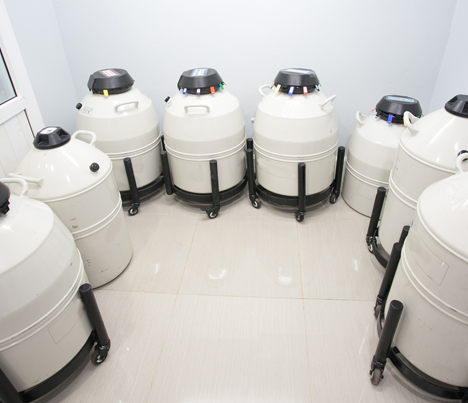 ln2 Tanks used in clinics to keep embryos safe, use wireless temperature monitoring