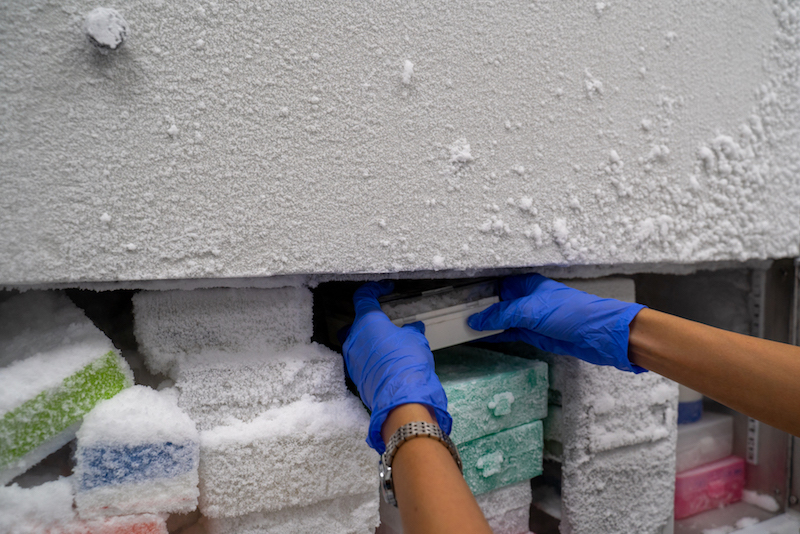 cold storage freezer that is being temperature monitored