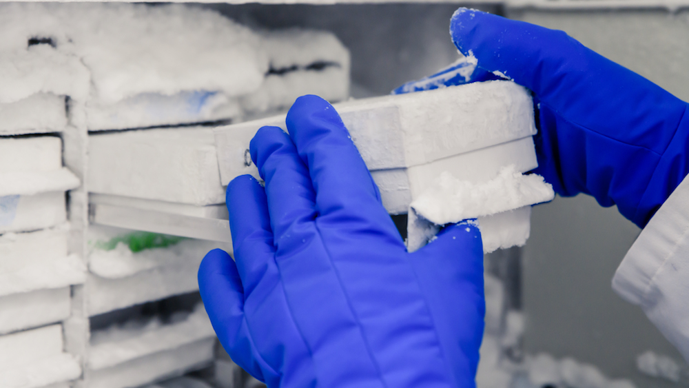 lab technician reaching into a temperature monitored freezer