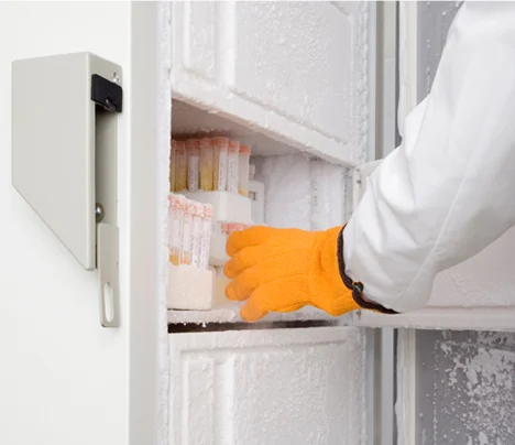 Laboratory Freezer with A Lab tech reaching in to measure lab temperature