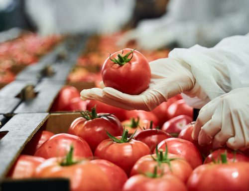 How to Best Manage Food Safety Temperature Control