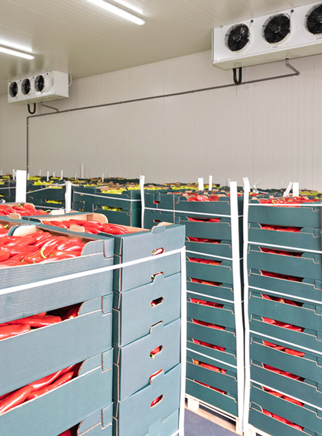 Intro_foodbeverage A temperature monitoring system can be used for the remote monitoring of food temperature for safety purposes; other examples of these monitoring systems equipped with wireless sensors include beer and wine warehouses and wine cellar temperatures to ensure that a wine collection remains at the optimal temperature