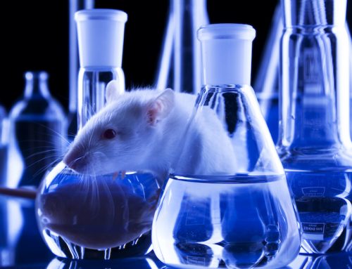 Lighting in Animal Research Labs: Why Monitoring Matters