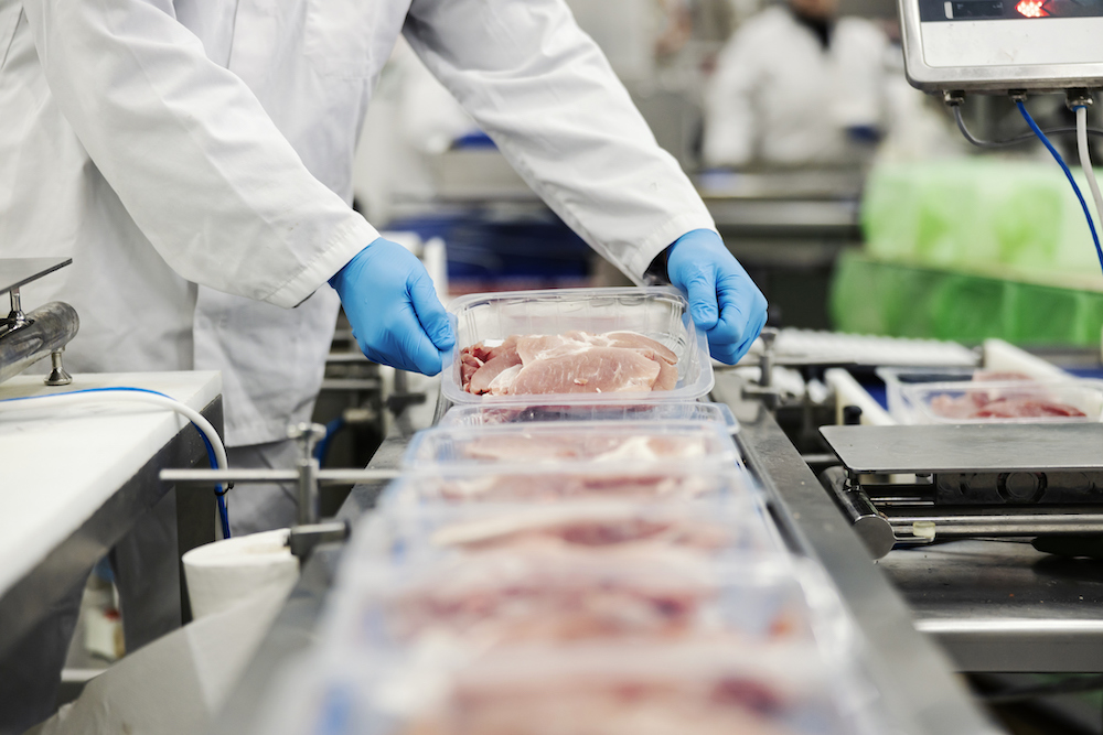 In a food industry facility, a worker on the assembly line checks food quality as part of their monitoring procedures for food safety and food safety records