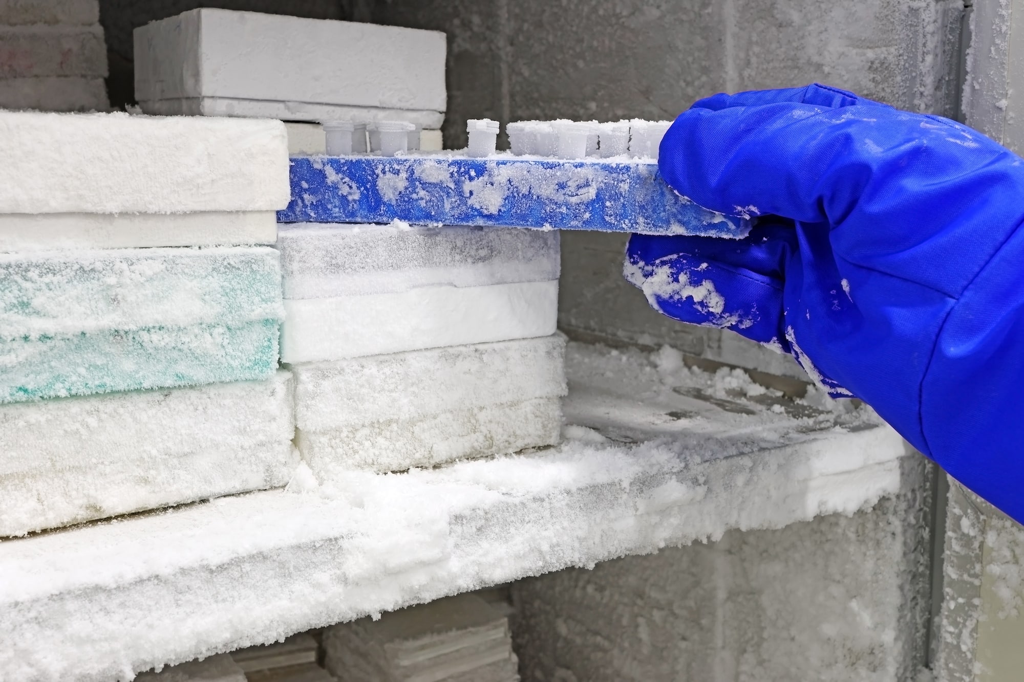 A lab technician retrieves vials from a freezer that will operate efficiently with temperature monitoring and power failure alarm for freezer use put in place.